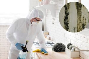 ¿Cómo quitar el moho de tu baño y cocina? dos trucos rápidos y sencillos para eliminarlo