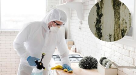 ¿Cómo quitar el moho de tu baño y cocina? dos trucos rápidos y sencillos para eliminarlo