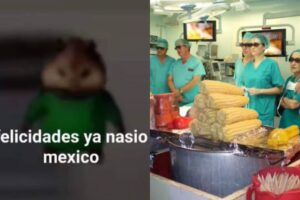 Día de Independencia 2025: los mejores memes para festejar este 16 de septiembre con los colores patrios