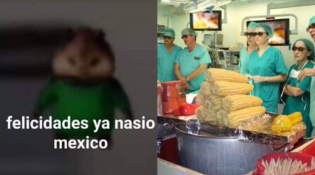 Día de Independencia 2025: los mejores memes para festejar este 16 de septiembre con los colores patrios