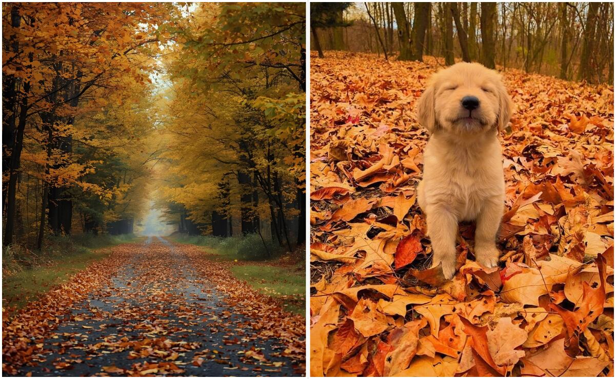 Equinoccio de Otoño 2025: las mejores frases e imágenes para recibir esta estación