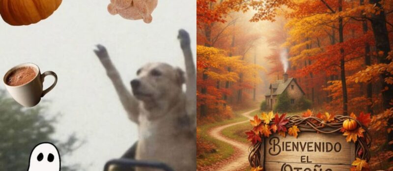 Equinoccio de otoño 2025: usuarios reciben el cambio de estación con la mejor lluvia de memes