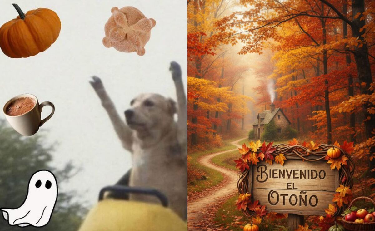 Equinoccio de otoño 2025: usuarios reciben el cambio de estación con la mejor lluvia de memes
