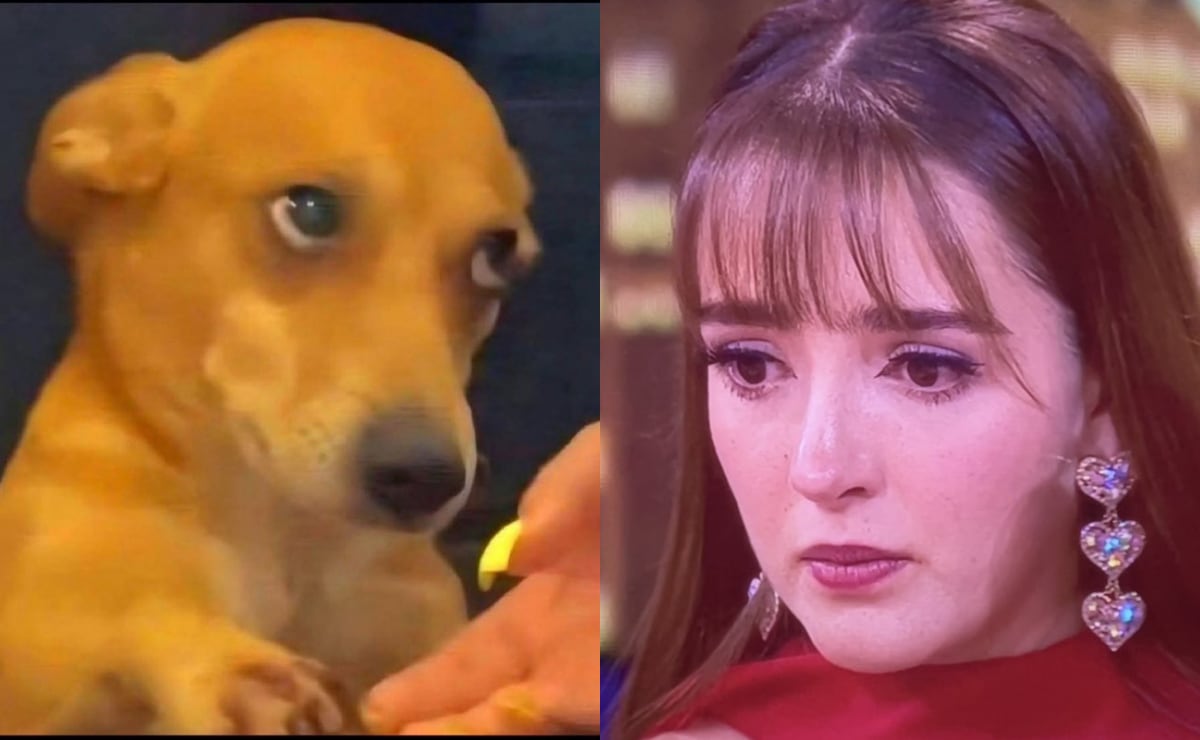 La Casa de Los Famosos 3: los mejores memes que dejó la séptima gala de nominación