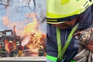 Puente de la Concordia: Hallan celular sonando tras explosión de pipa de gas en Iztapalapa con llamada inesperada