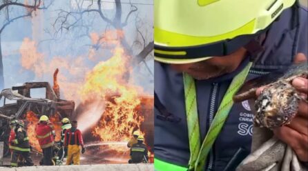 Puente de la Concordia: Hallan celular sonando tras explosión de pipa de gas en Iztapalapa con llamada inesperada