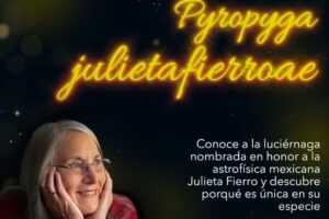 ¿Qué es la Pyropyga julietafierroae?: la luciérnaga que inmortaliza a Julieta Fierro en la ciencia mexicana