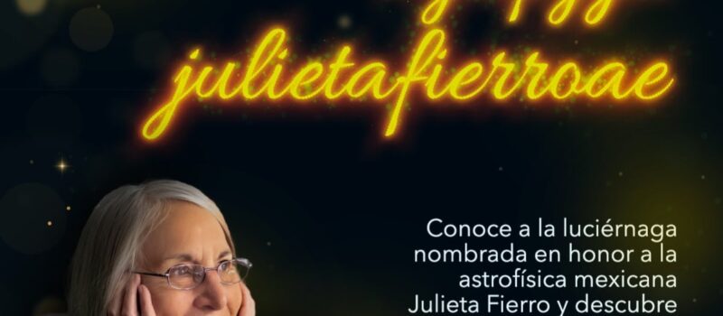 ¿Qué es la Pyropyga julietafierroae?: la luciérnaga que inmortaliza a Julieta Fierro en la ciencia mexicana