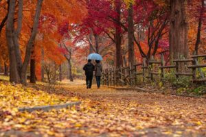 ¿Qué le pasa al cuerpo cuando empieza el otoño? Descubre cada efecto