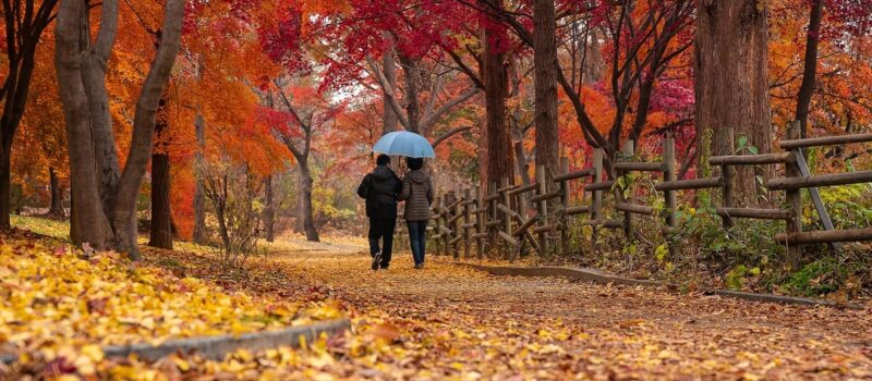 ¿Qué le pasa al cuerpo cuando empieza el otoño? Descubre cada efecto