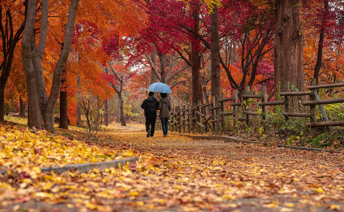 ¿Qué le pasa al cuerpo cuando empieza el otoño? Descubre cada efecto