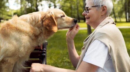 ¿Qué significa hablarle a las mascotas como si fueran humanos? Esto dice la psicología