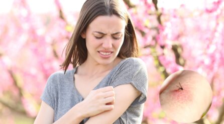 5 plantas que repelen mosquitos y ayudan a mantener tu casa libre de insectos