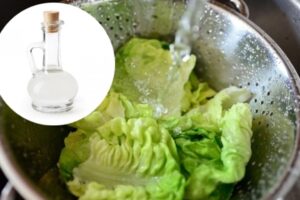 ¿Cómo desinfectar la lechuga de manera sencilla? Evita lavarla solo con agua