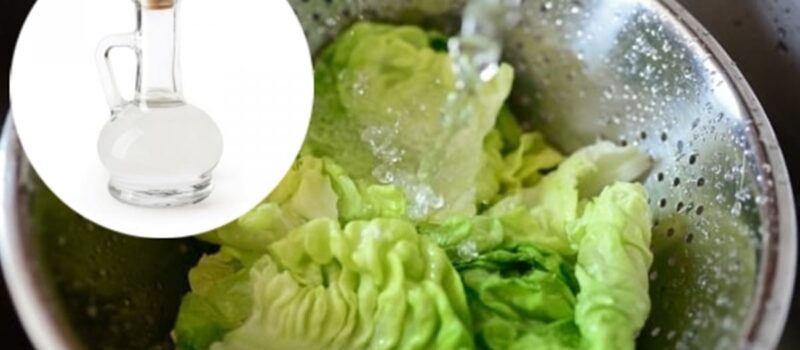 ¿Cómo desinfectar la lechuga de manera sencilla? Evita lavarla solo con agua