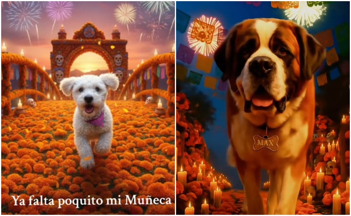 Día de Muertos 2025: así puedes crear el video con IA de tu mascota cruzando el Mictlán en Gemini