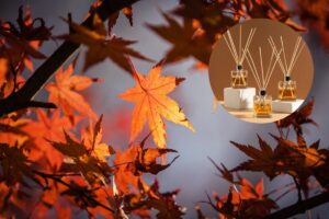 El truco para que tu casa huela a otoño con solo 5 ingredientes