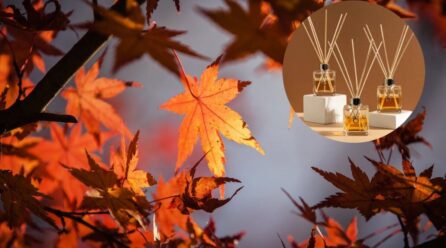 El truco para que tu casa huela a otoño con solo 5 ingredientes