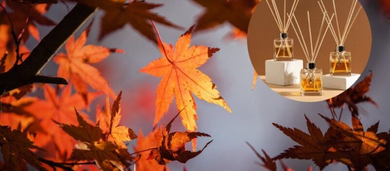 El truco para que tu casa huela a otoño con solo 5 ingredientes