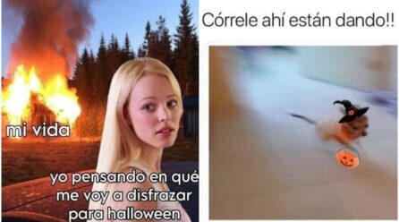 Halloween 2025: los mejores memes para espantar este 31 de octubre