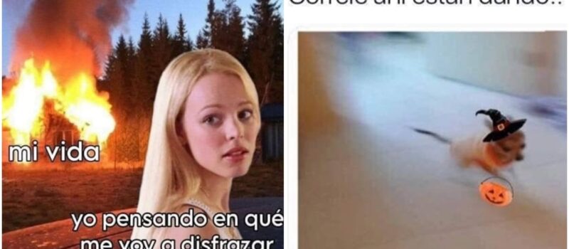 Halloween 2025: los mejores memes para espantar este 31 de octubre
