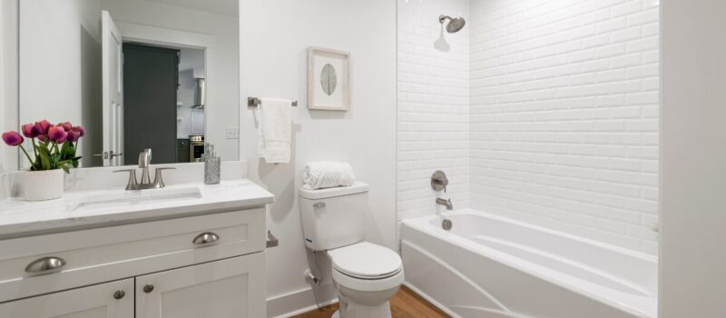 Las plantas que no debes poner en el baño si no tiene ventanas ni luz natural