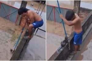 Poza Rica: rescate viral de gatito conmueve a usuarios en redes